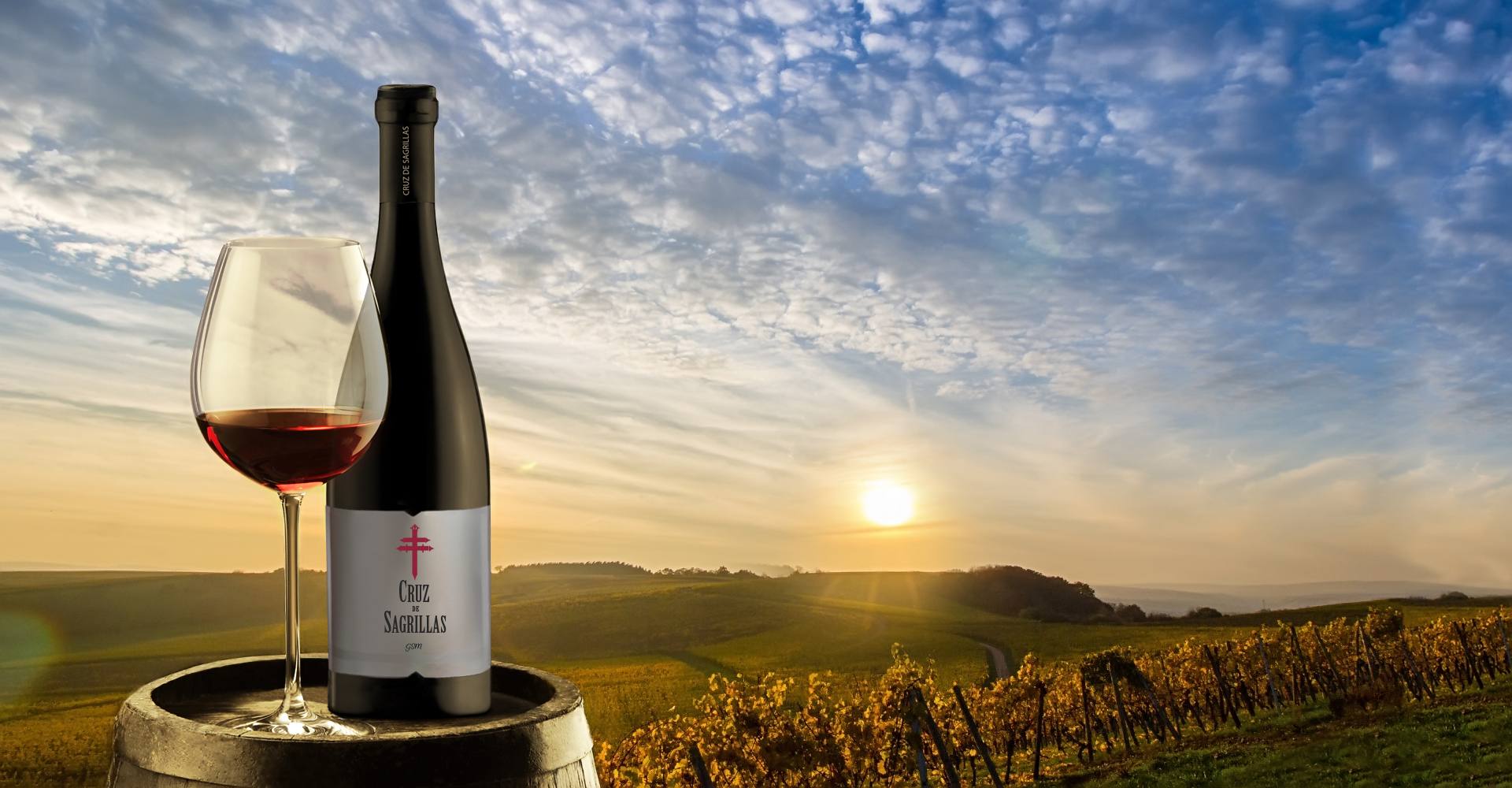 Botella de vino tinto Cruz de Sagrillas, elaborado con Garnacha Tintorera, Syrah y Monastrell